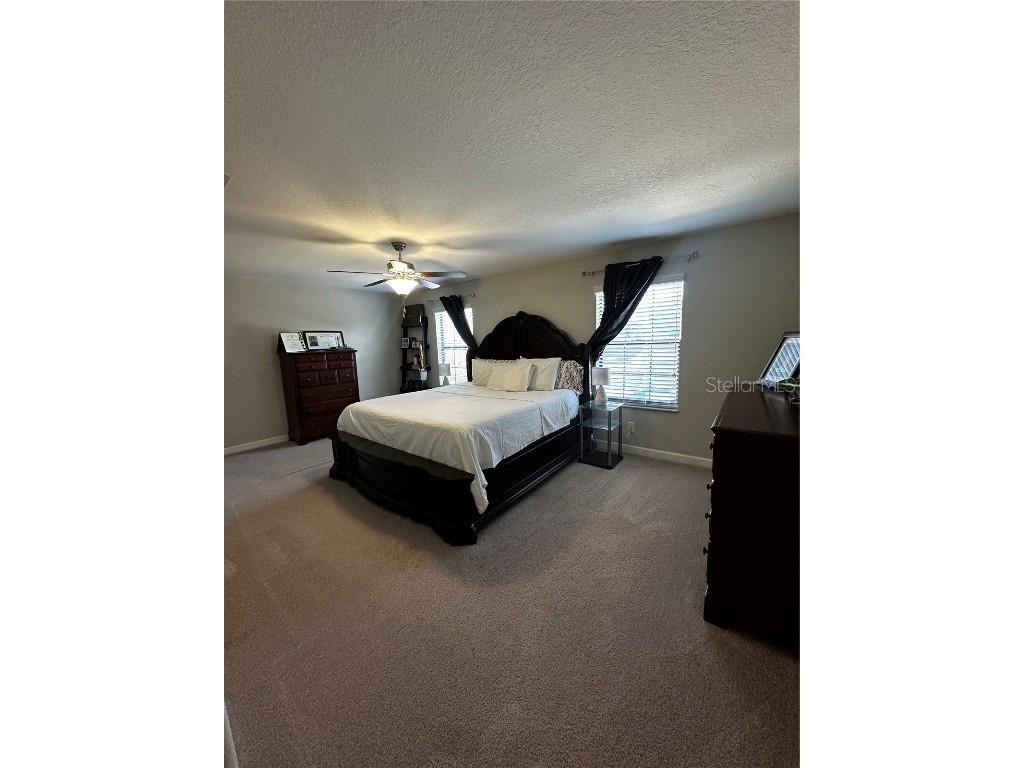 17338 Old Tobacco Road Lutz FL 33558 TB8422383 image13