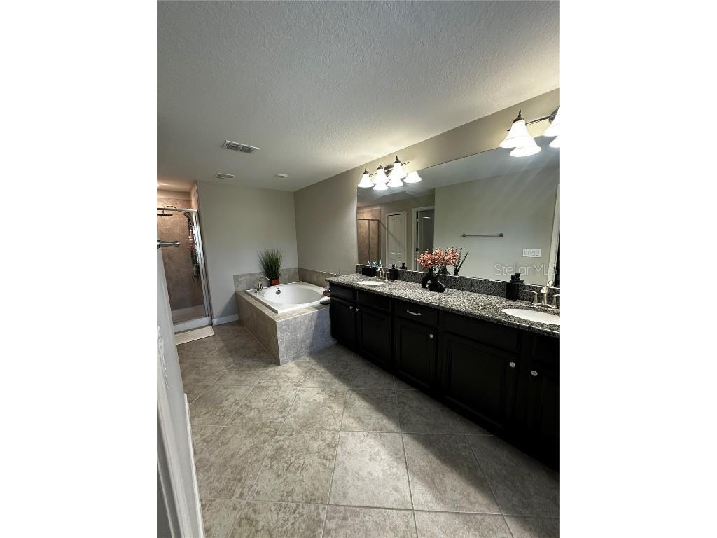 17338 Old Tobacco Road Lutz FL 33558 TB8422383 image14