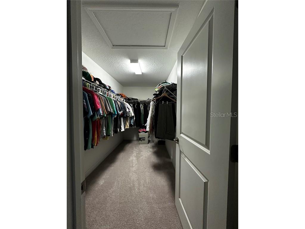 17338 Old Tobacco Road Lutz FL 33558 TB8422383 image16