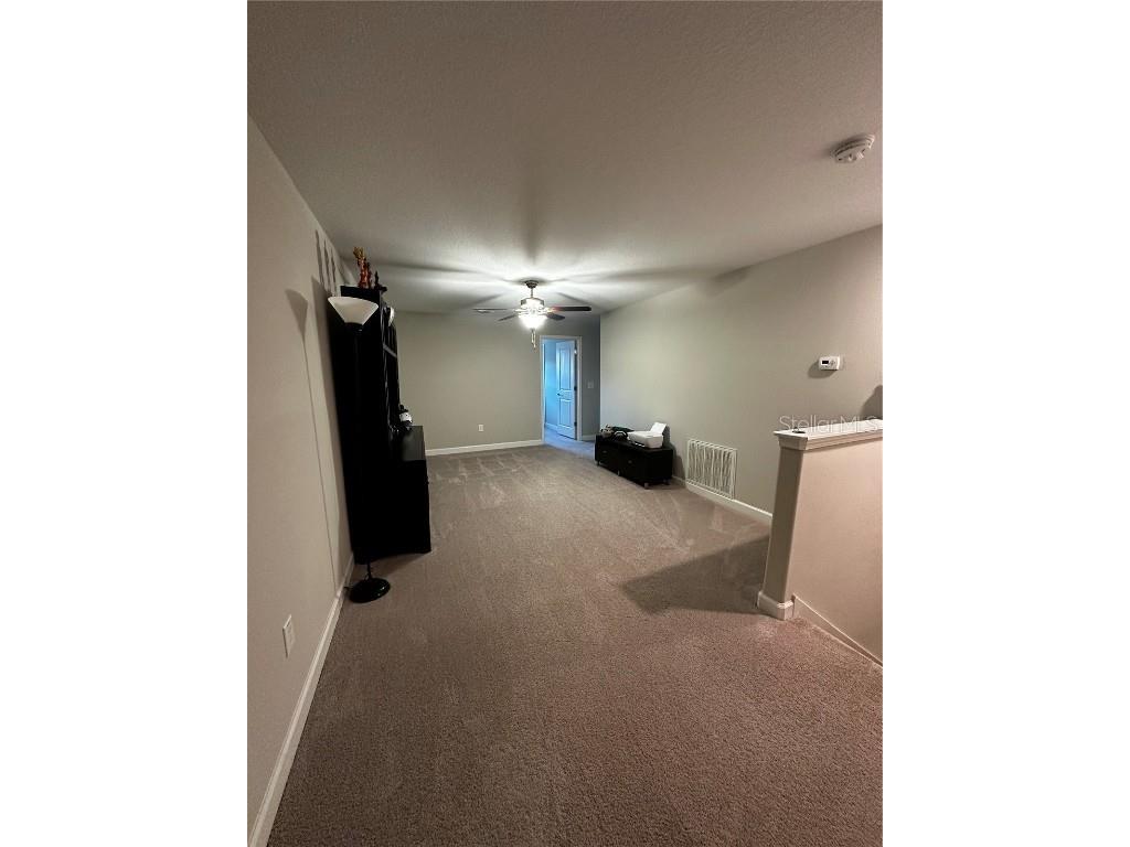 17338 Old Tobacco Road Lutz FL 33558 TB8422383 image17