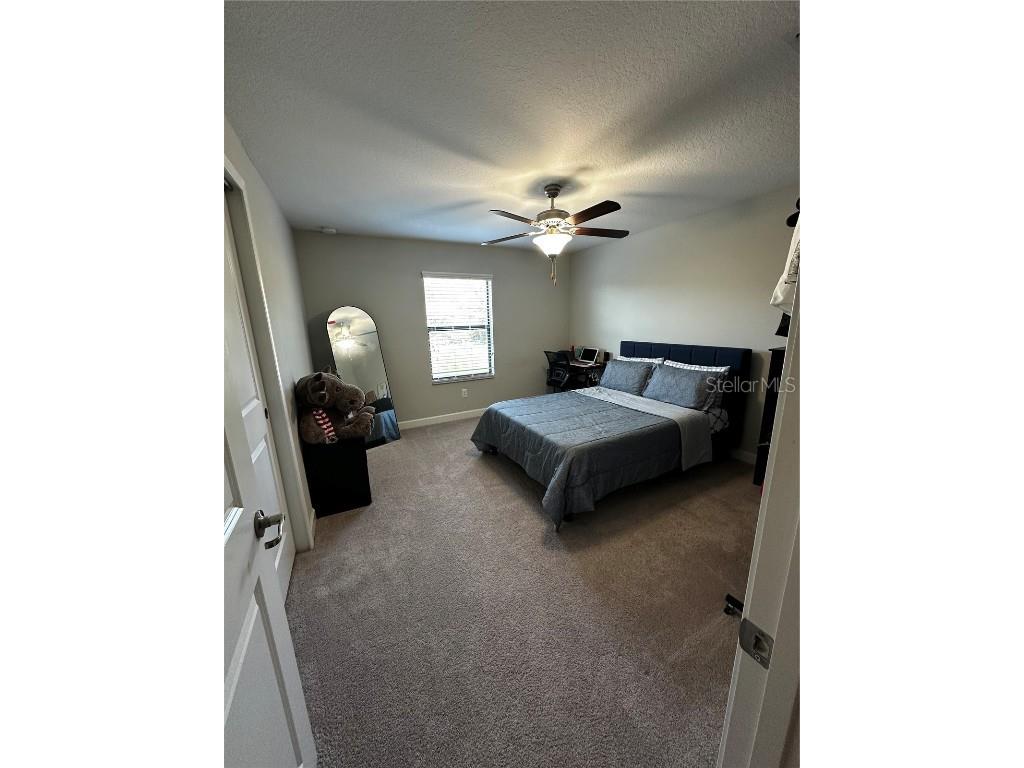 17338 Old Tobacco Road Lutz FL 33558 TB8422383 image19