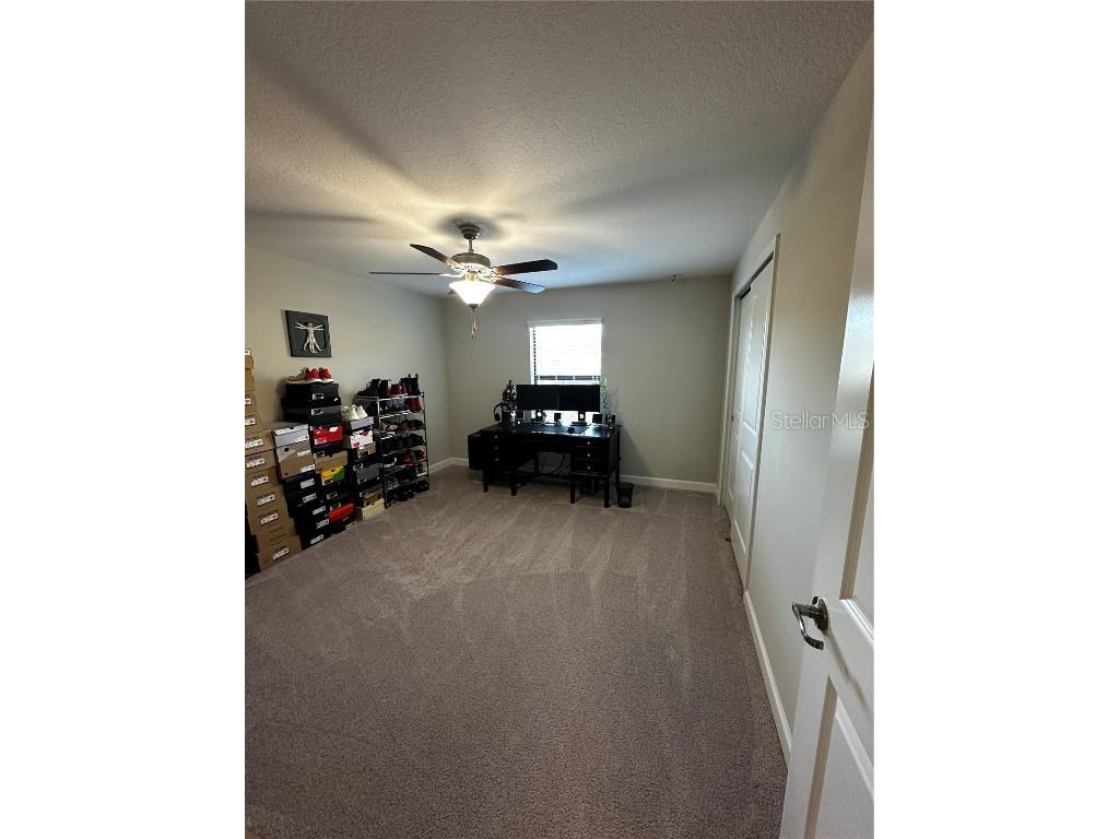 17338 Old Tobacco Road Lutz FL 33558 TB8422383 image21