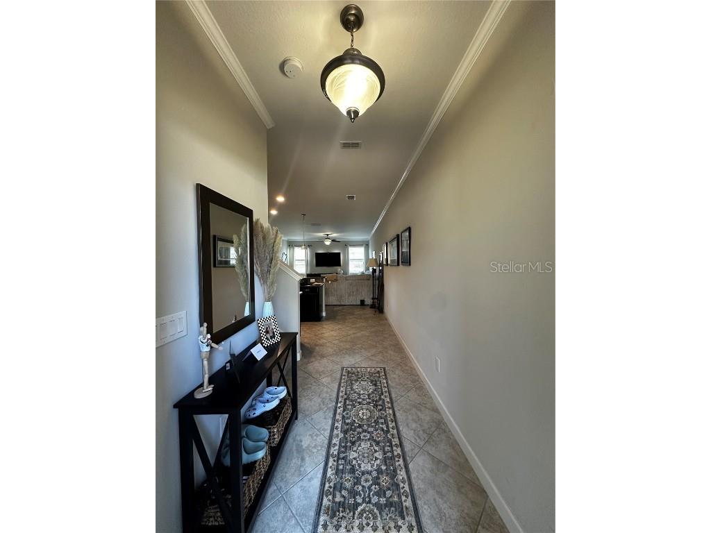 17338 Old Tobacco Road Lutz FL 33558 TB8422383 image3