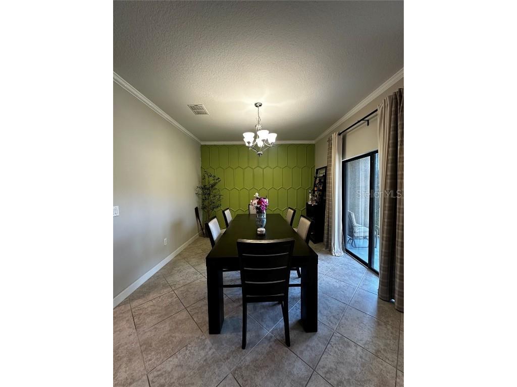 17338 Old Tobacco Road Lutz FL 33558 TB8422383 image6