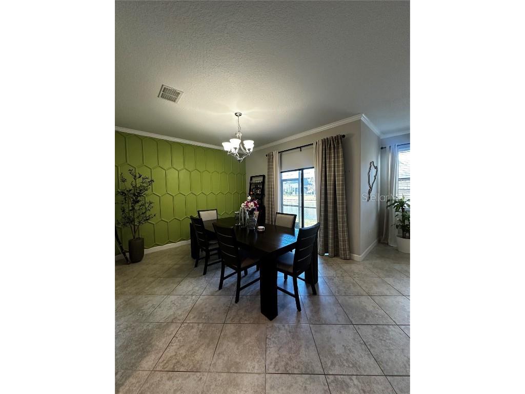 17338 Old Tobacco Road Lutz FL 33558 TB8422383 image7