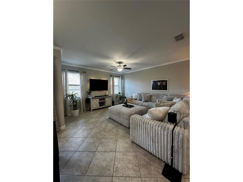 17338 Old Tobacco Road Lutz FL 33558 TB8422383 image8