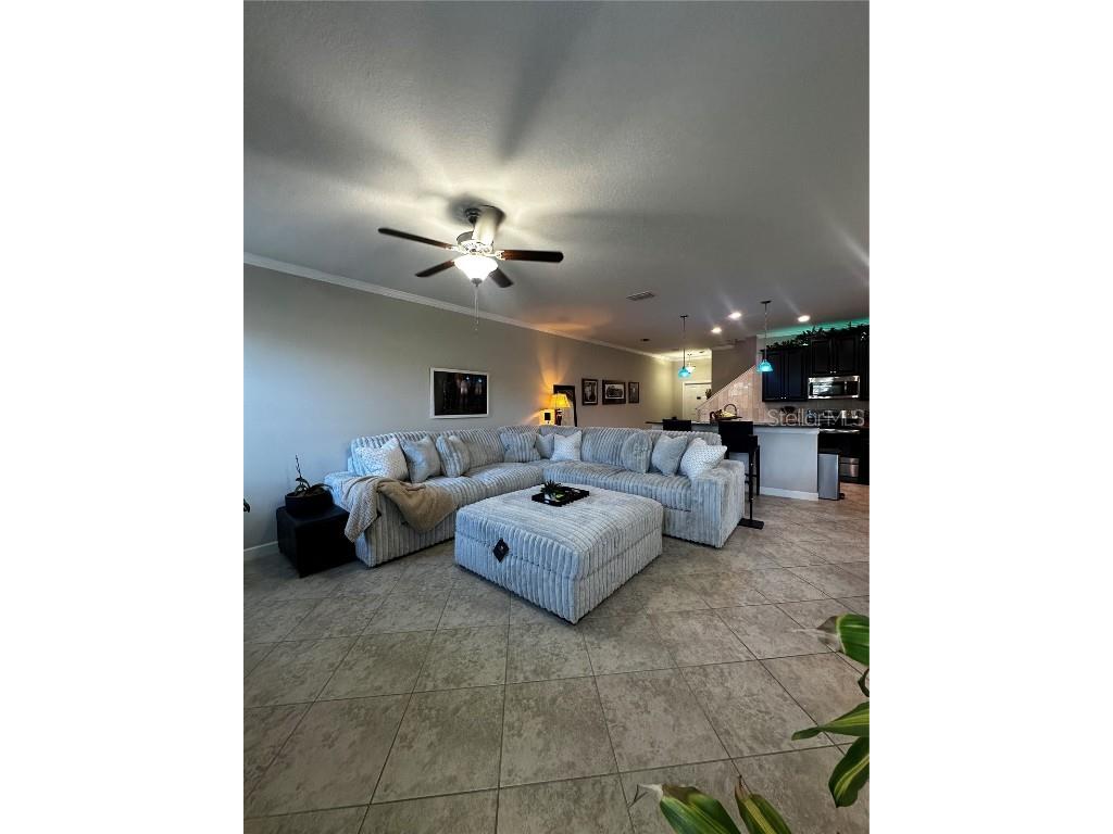 17338 Old Tobacco Road Lutz FL 33558 TB8422383 image9