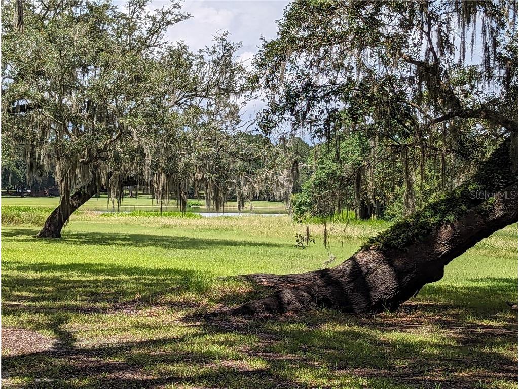 17338 Palamino Lake Drive Dade City FL 33523 T3458986 image1
