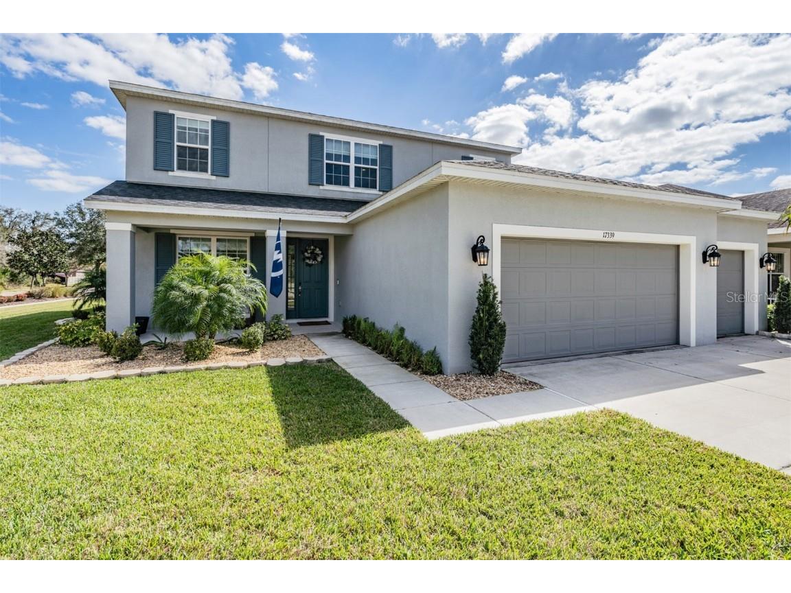 17339 Chelsea Downs Circle Lithia FL 33547 T3429393 image1