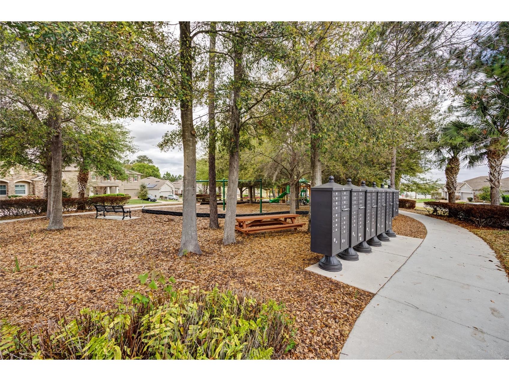 1734 Black Maple Place Ocoee FL 34761 O6393241 image36