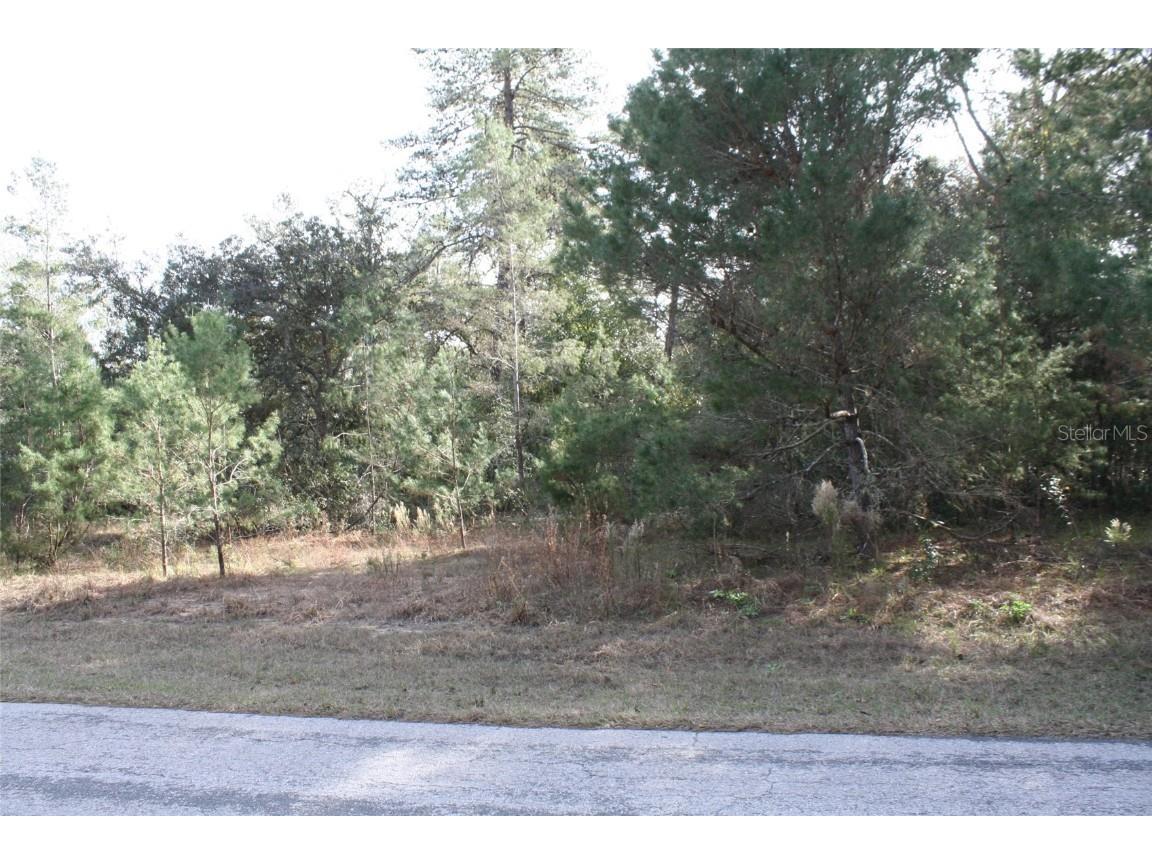 1734 E Tradewind Drive Hernando FL 34442 OM652167 image1