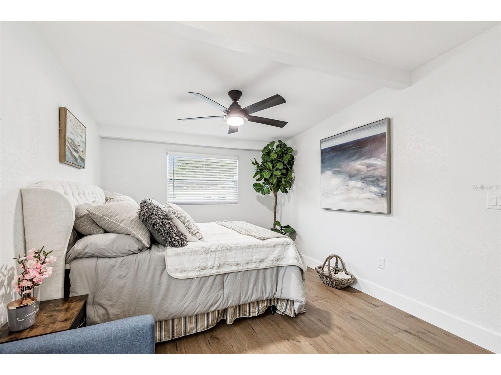 1734 Maiden Lane Largo FL 33774 TB8434468 image19