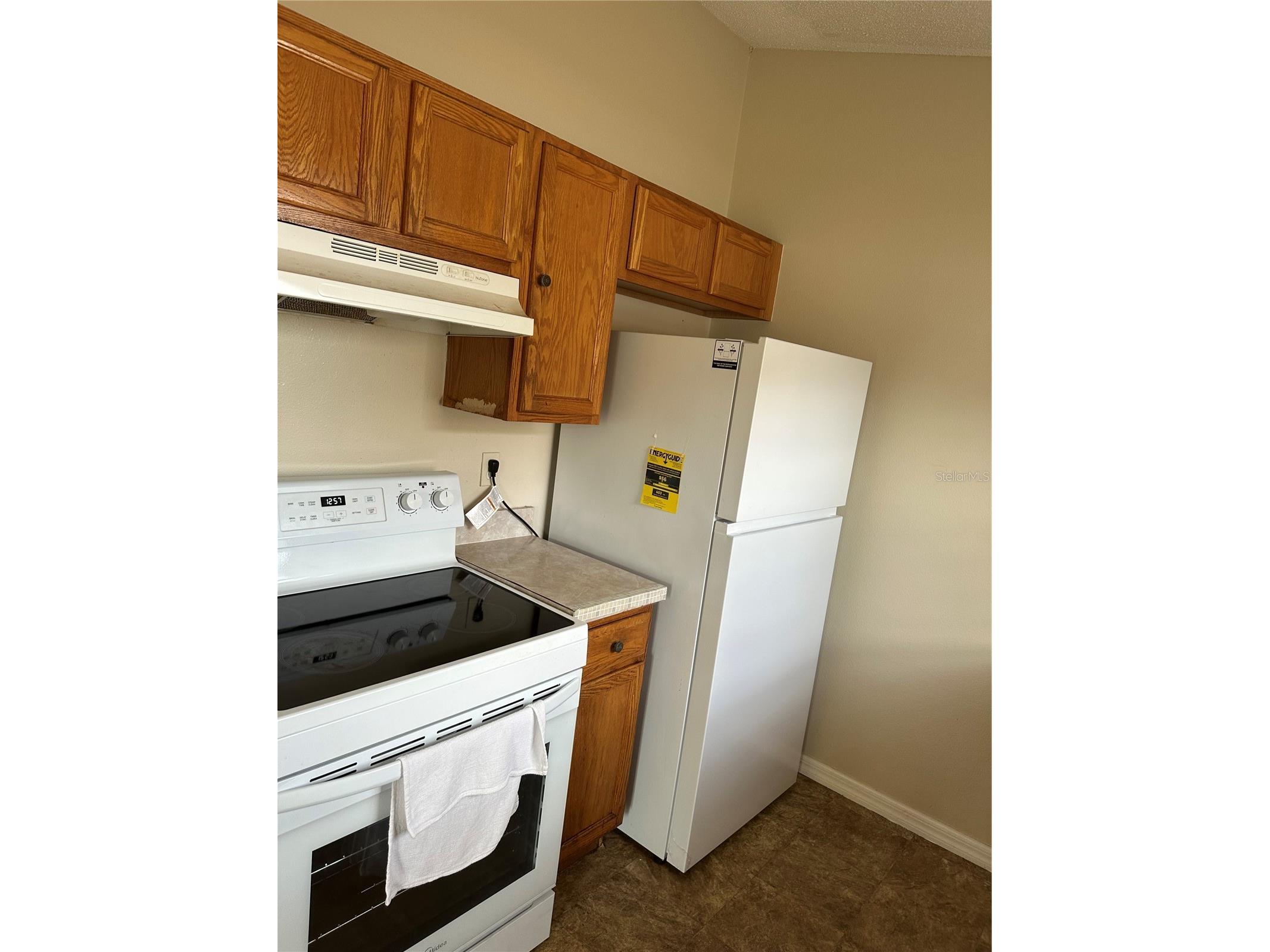 1734 Pilchard Drive Kissimmee FL 34759 S5147634 image8