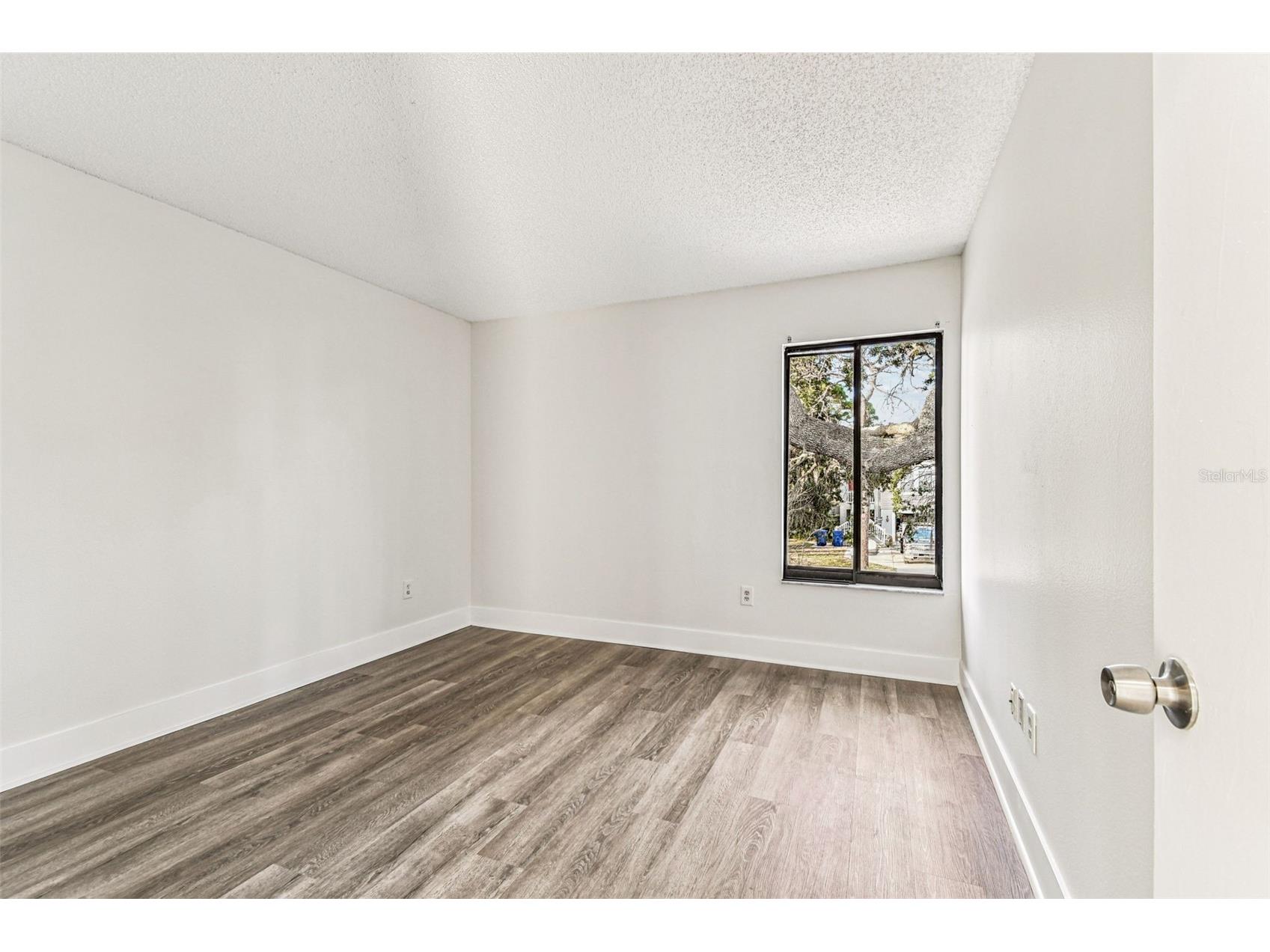 1734 Rumar Lane Holiday FL 34691 P4937355 image37