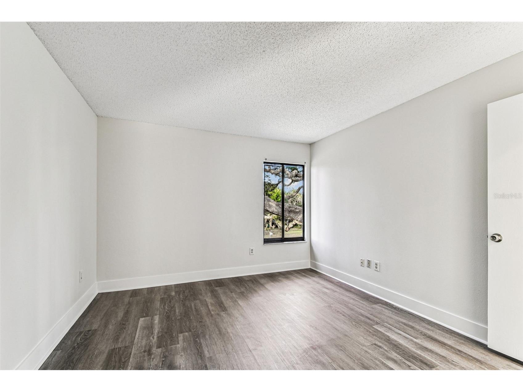 1734 Rumar Lane Holiday FL 34691 P4937355 image40