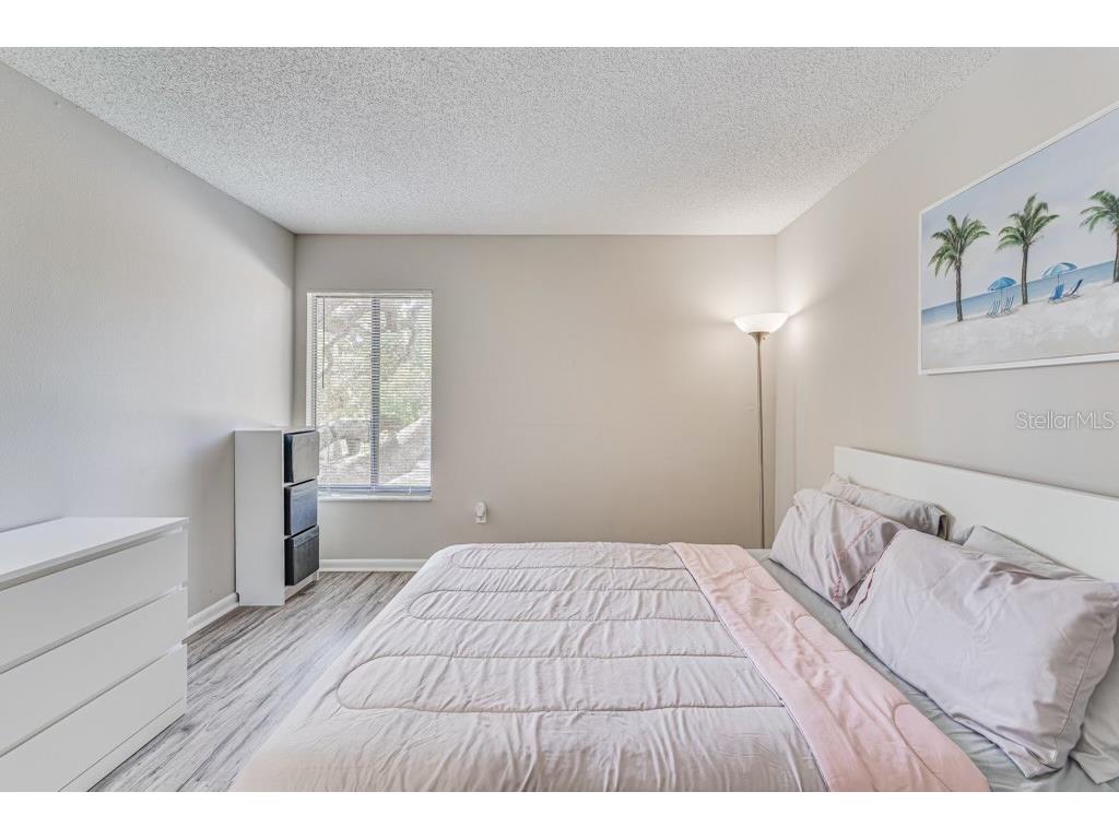 1734 Rumar Lane Holiday FL 34691 TB8453716 image19