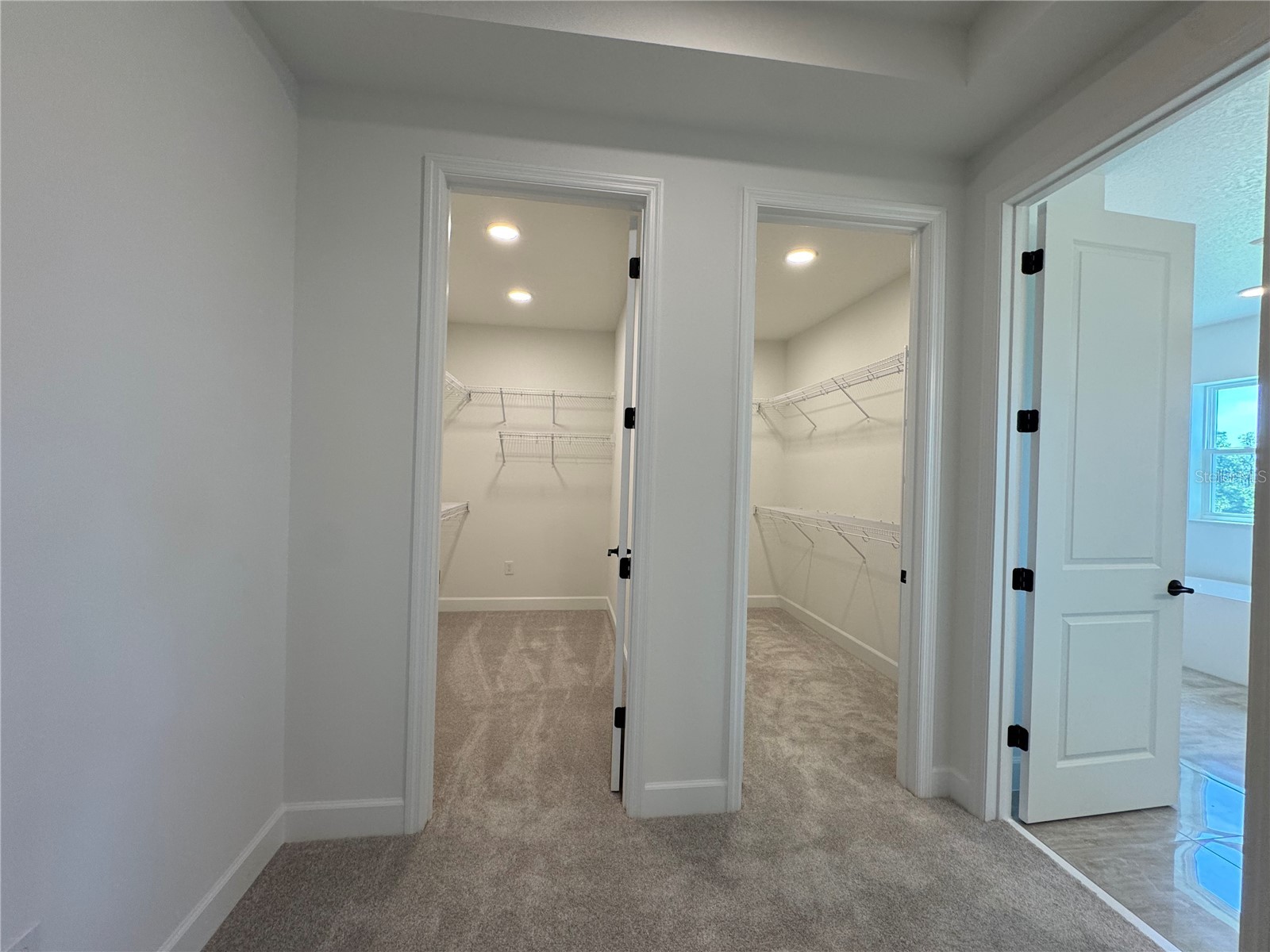 17342 Glossy Pomelo Way Winter Garden FL 34787 O6406397 image53