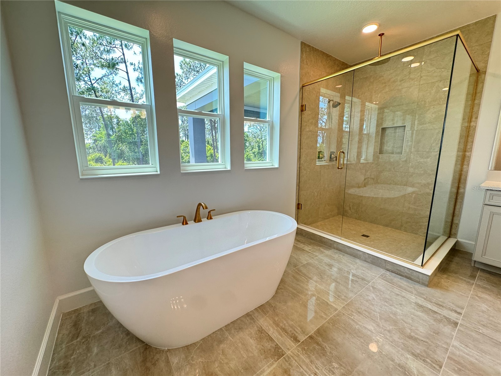 17342 Glossy Pomelo Way Winter Garden FL 34787 O6406397 image60