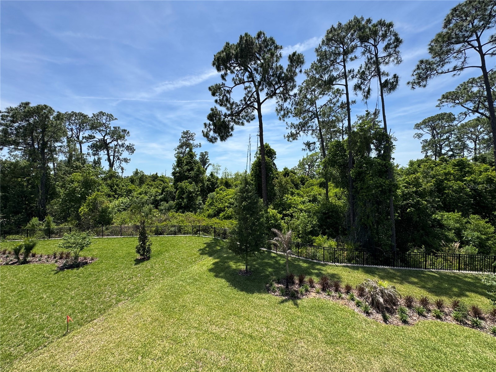 17342 Glossy Pomelo Way Winter Garden FL 34787 O6406397 image65
