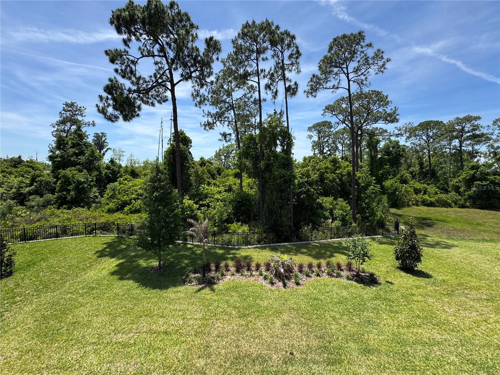 17342 Glossy Pomelo Way Winter Garden FL 34787 O6406397 image66