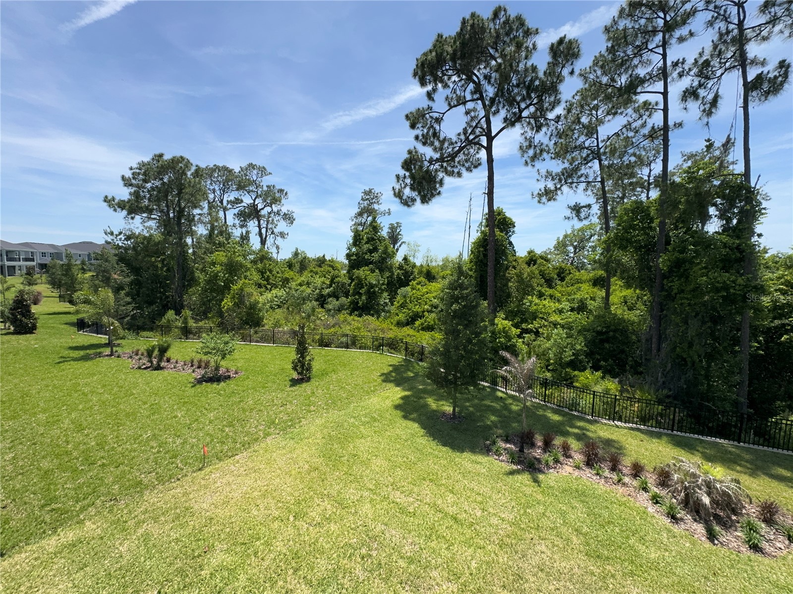 17342 Glossy Pomelo Way Winter Garden FL 34787 O6406397 image67