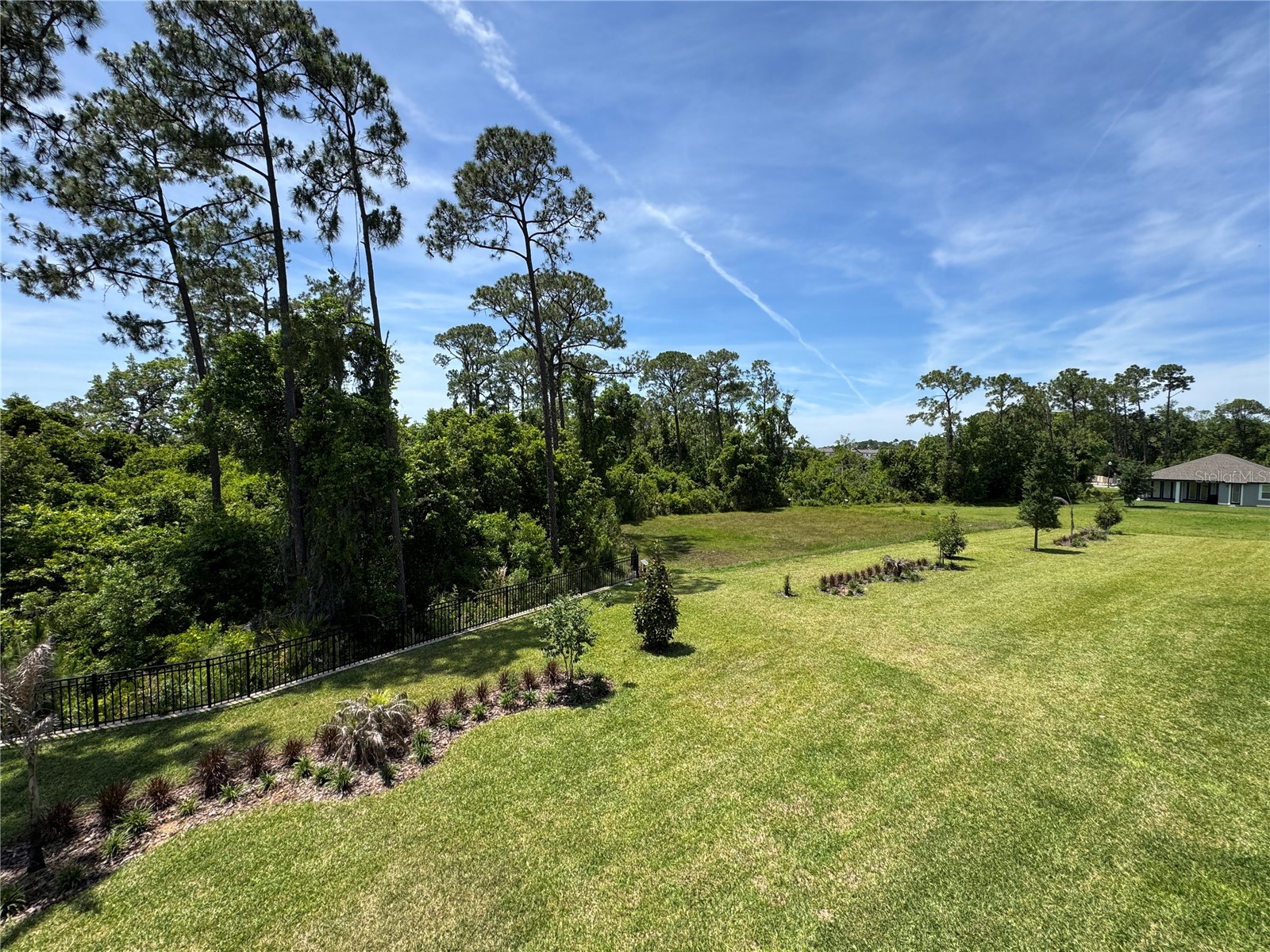 17342 Glossy Pomelo Way Winter Garden FL 34787 O6406397 image68