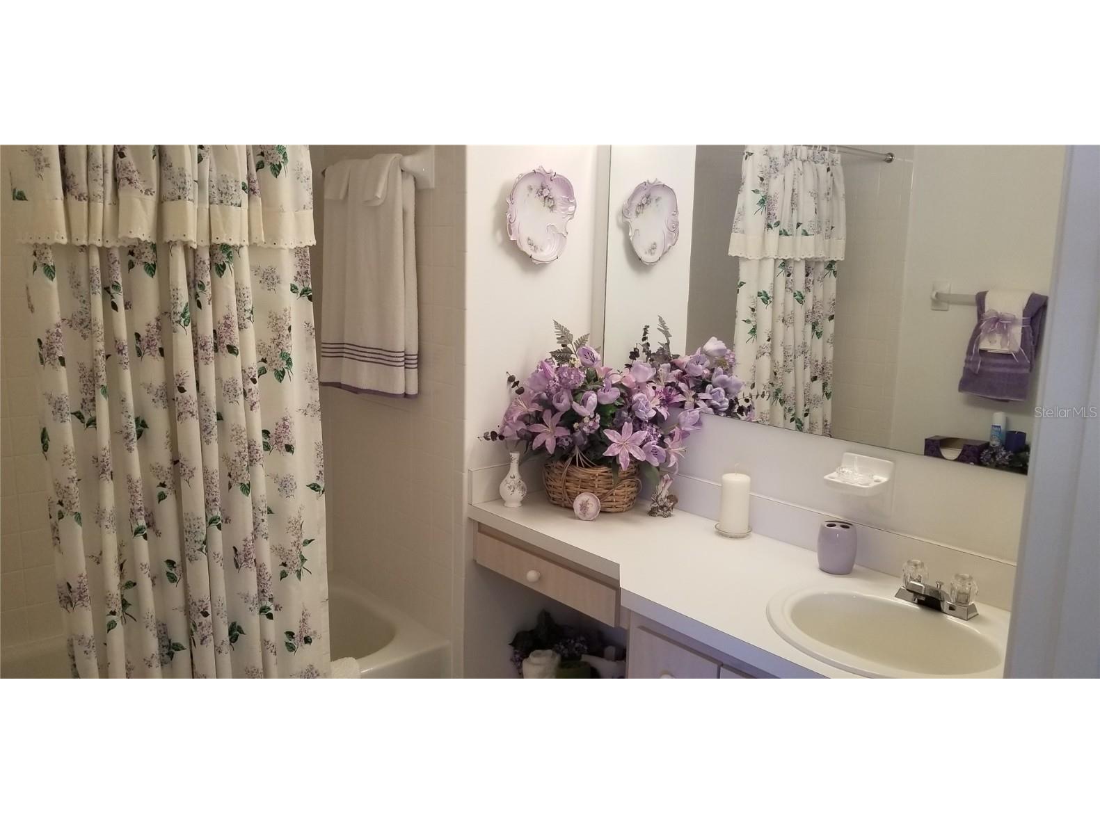 17343 SE 98th Circle Summerfield FL 34491 G5104312 image17