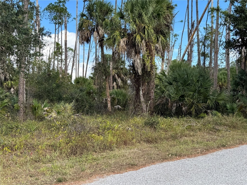 17344 Orion Avenue Port Charlotte FL 33954 D6145268 image2