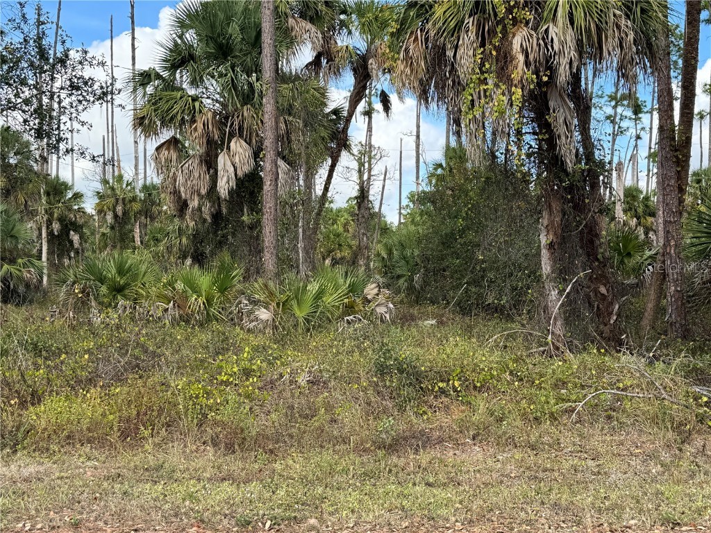 17344 Orion Avenue Port Charlotte FL 33954 D6145268 image3