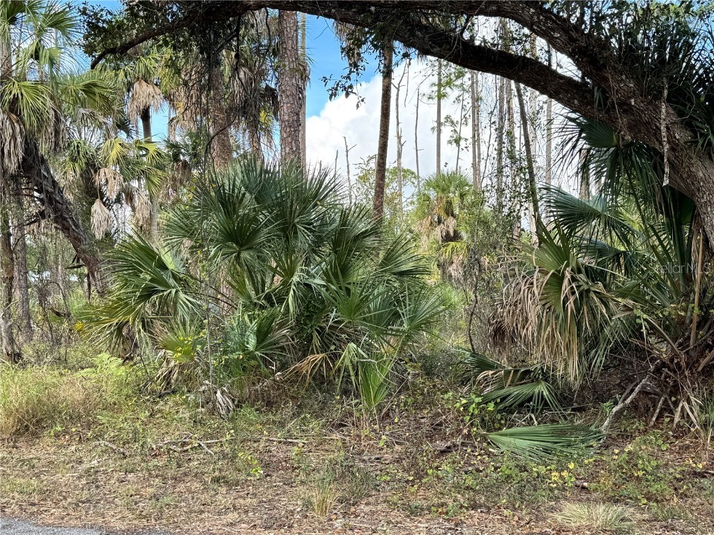 17344 Orion Avenue Port Charlotte FL 33954 D6145268 image4