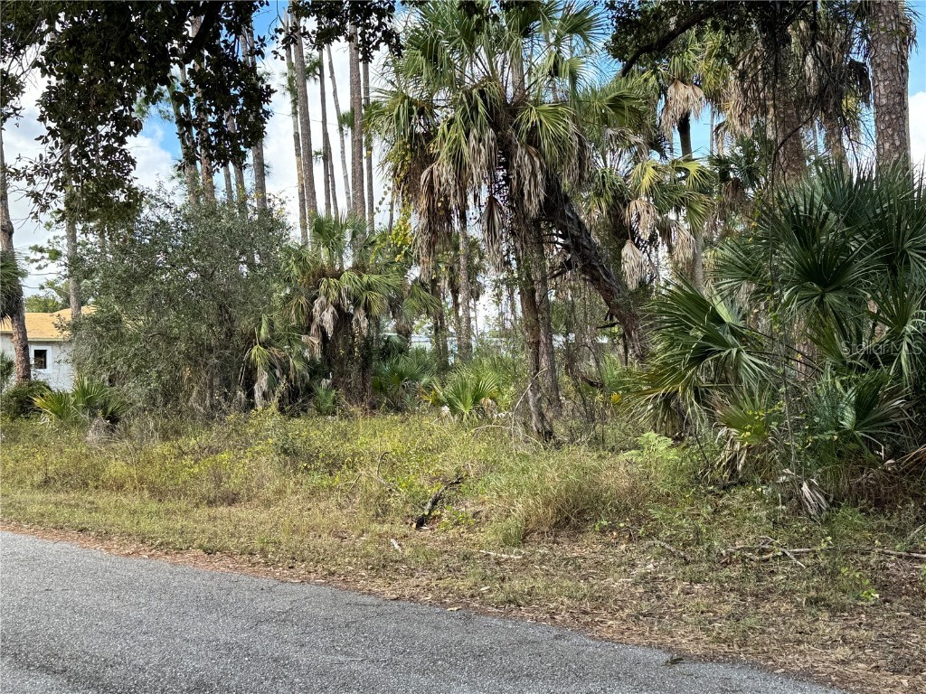 17344 Orion Avenue Port Charlotte FL 33954 D6145268 image5