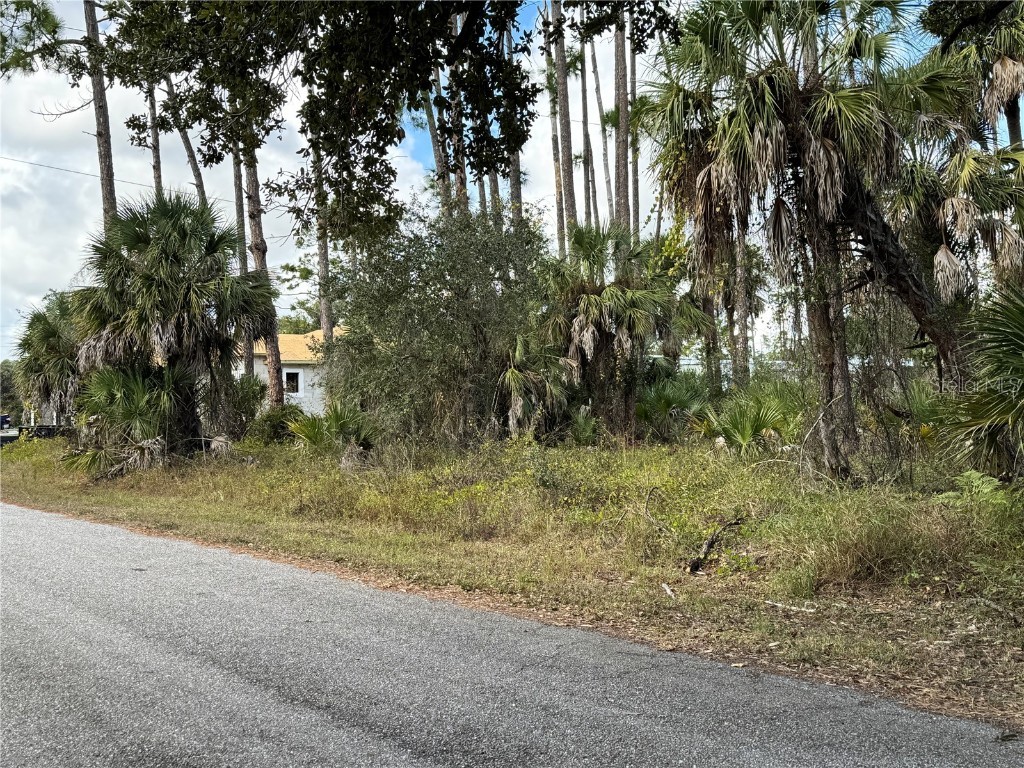 17344 Orion Avenue Port Charlotte FL 33954 D6145268 image6