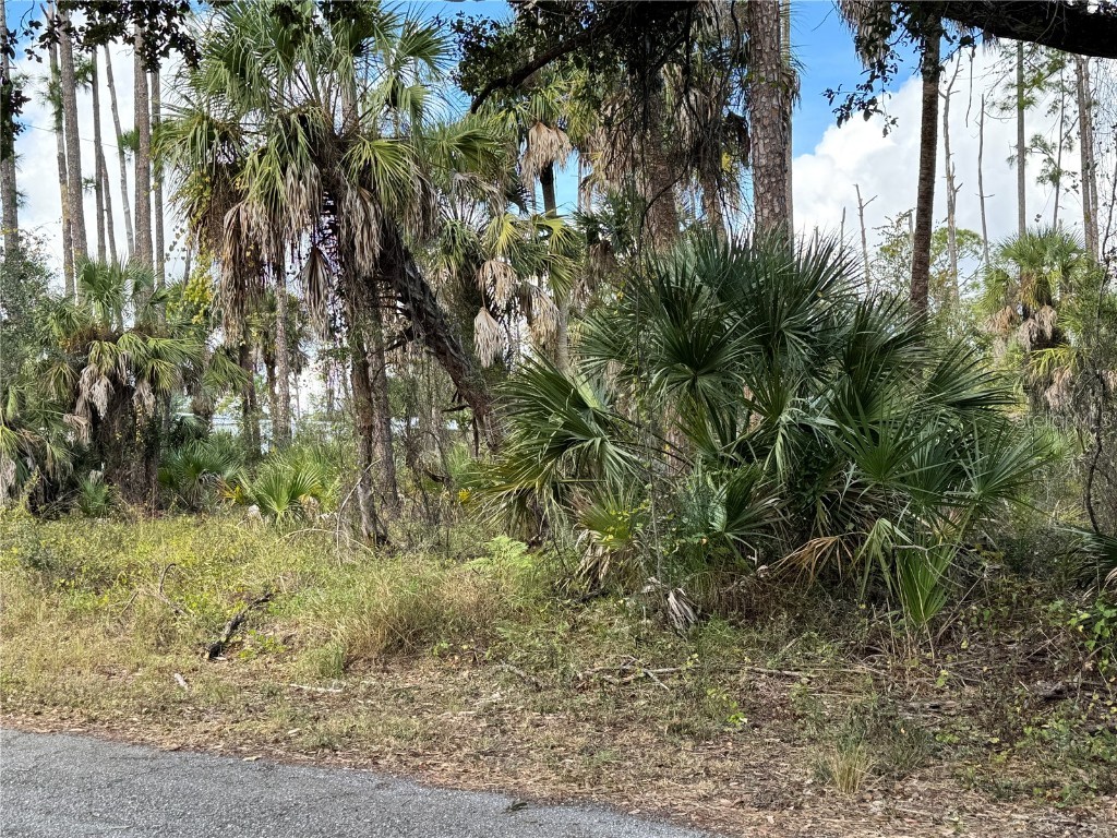 17344 Orion Avenue Port Charlotte FL 33954 D6145268 image7