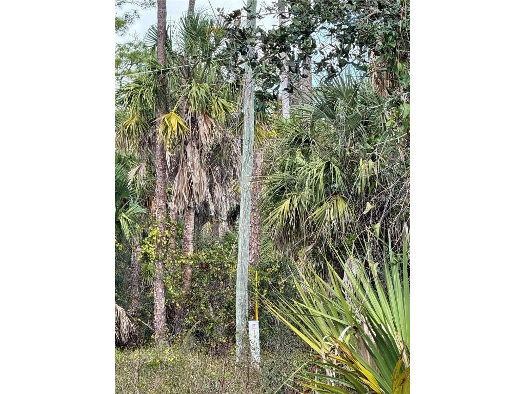 17344 Orion Avenue Port Charlotte FL 33954 D6145268 image9