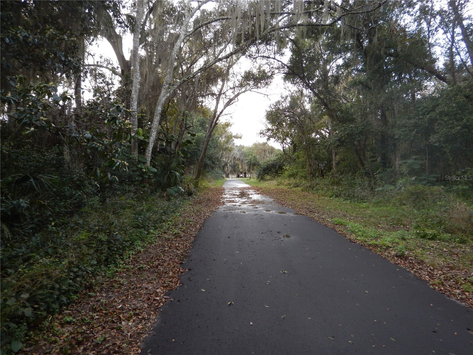 17345 Porter Avenue #A Montverde FL 34756 - LAKE APOPKA G5109808 image18