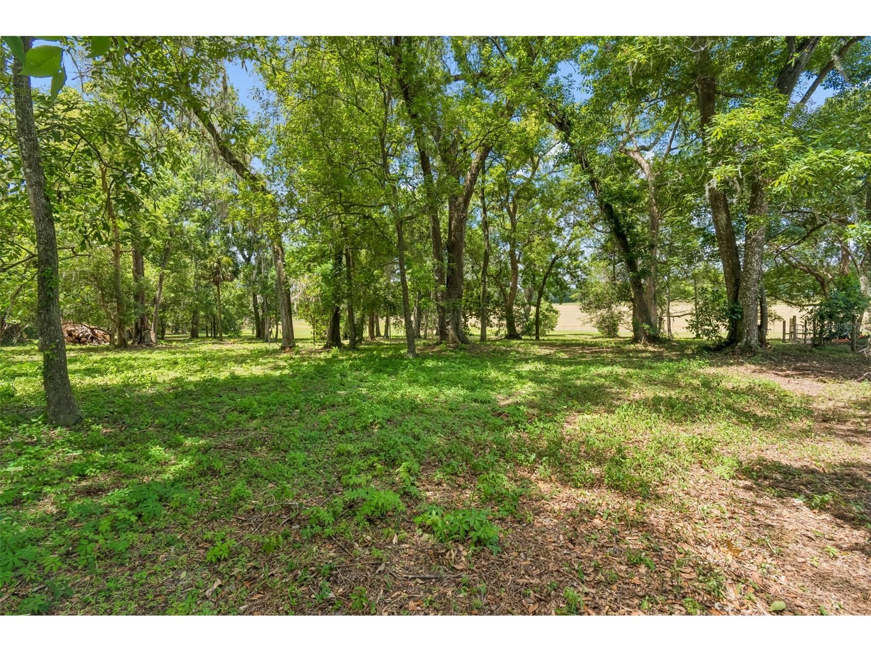 17345 Sweetwater Road Dade City FL 33523 TB8519967 image58