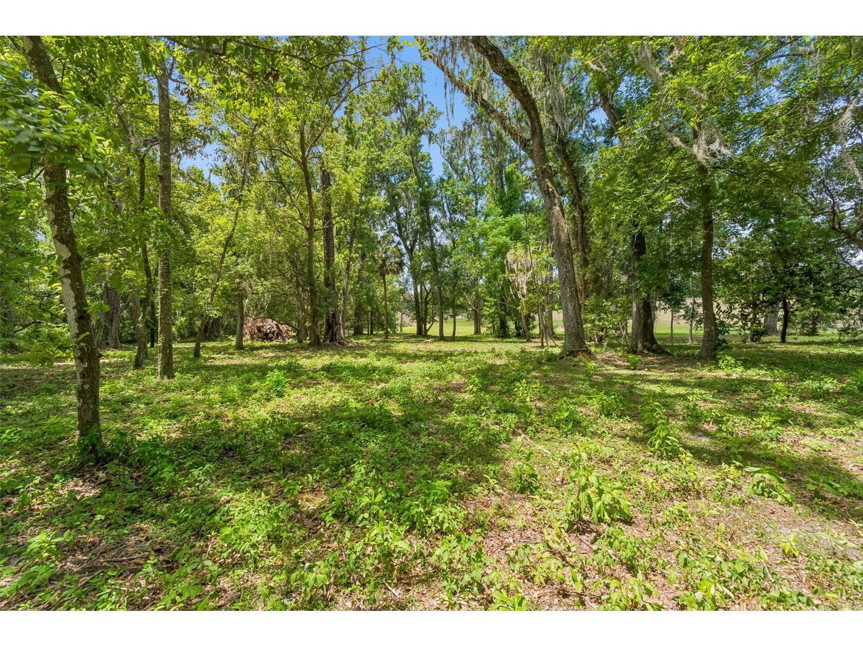 17345 Sweetwater Road Dade City FL 33523 TB8519967 image59