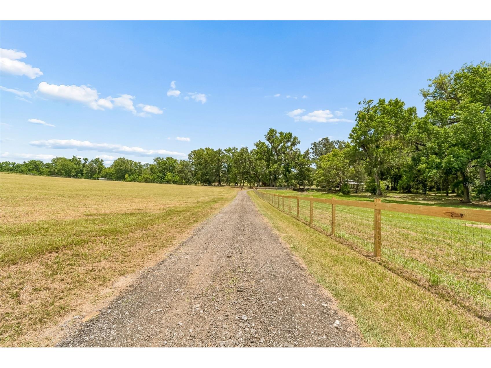 17345 Sweetwater Road Dade City FL 33523 TB8519967 image68