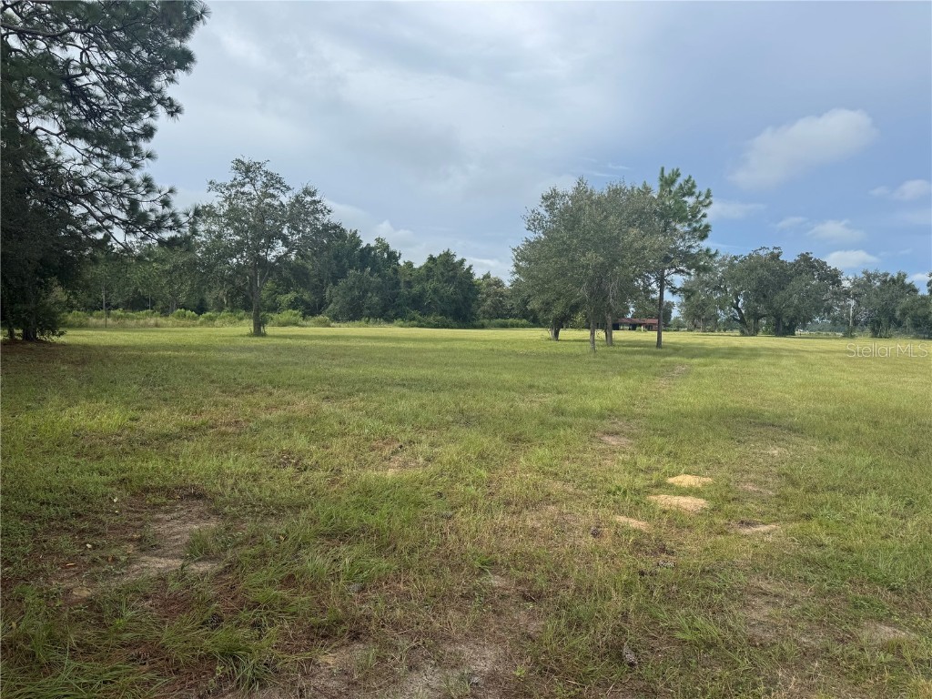 17349 Forge Drive Spring Hill FL 34610 TB8425254 image3