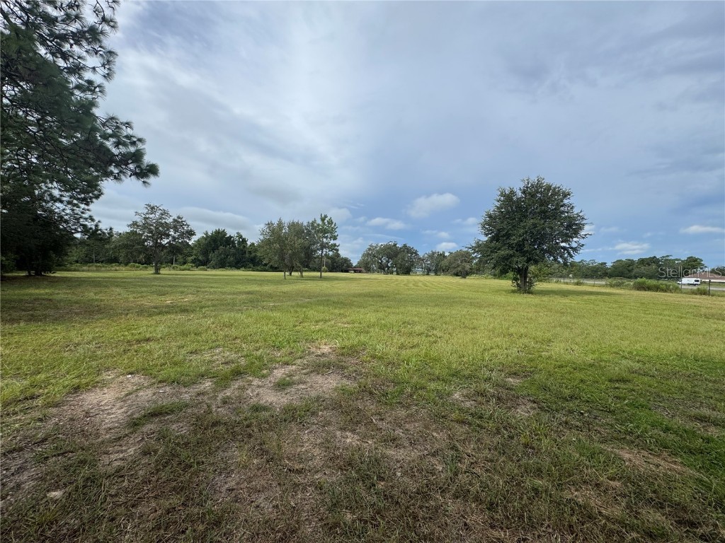 17349 Forge Drive Spring Hill FL 34610 TB8425254 image4