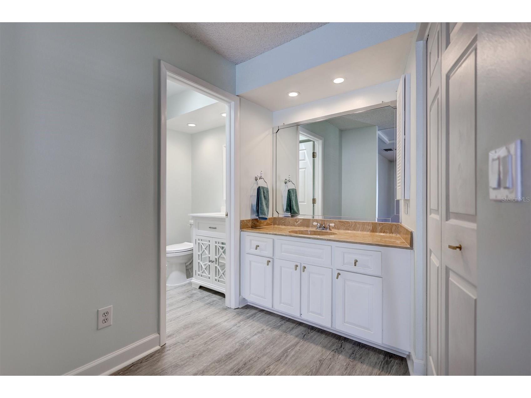 1735 Aberdeen Court Palm Harbor FL 34684 TB8493231 image36