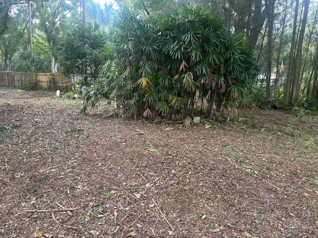 1735 Carrollton Place Odessa FL 33556 TB8310064 image1