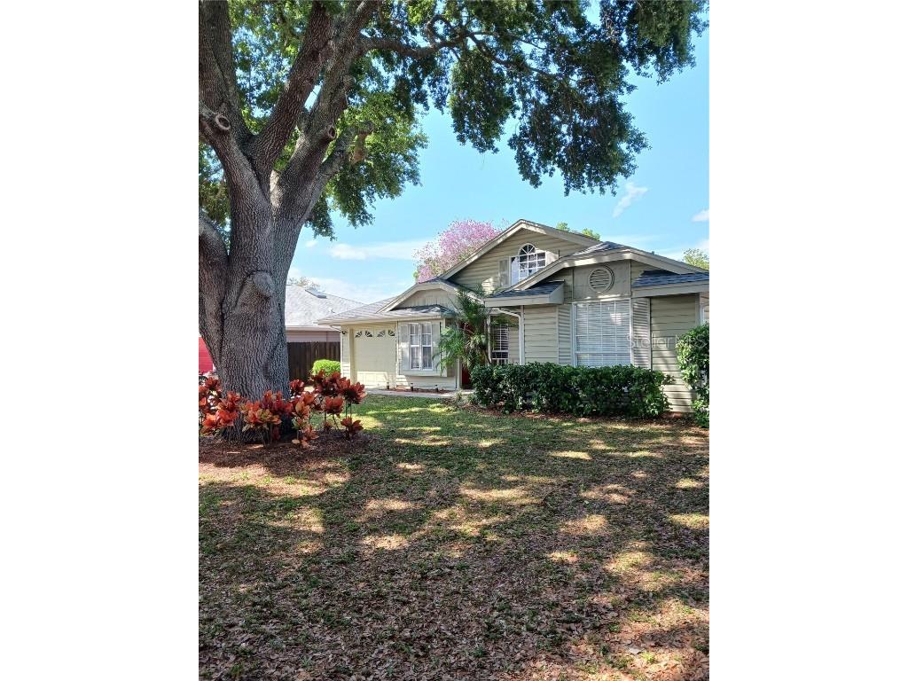 1735 Dorset Drive Mount Dora FL 32757 G5080421 image1