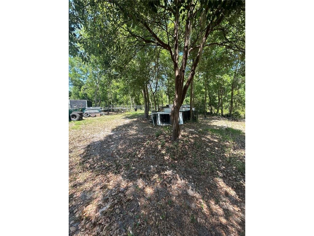 1735 Grayson Drive Orlando FL 32825 O6301807 image3