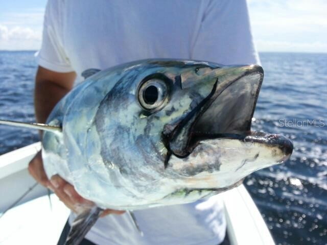 1735 Loralin Drive Englewood FL 34223 D6145776 image36