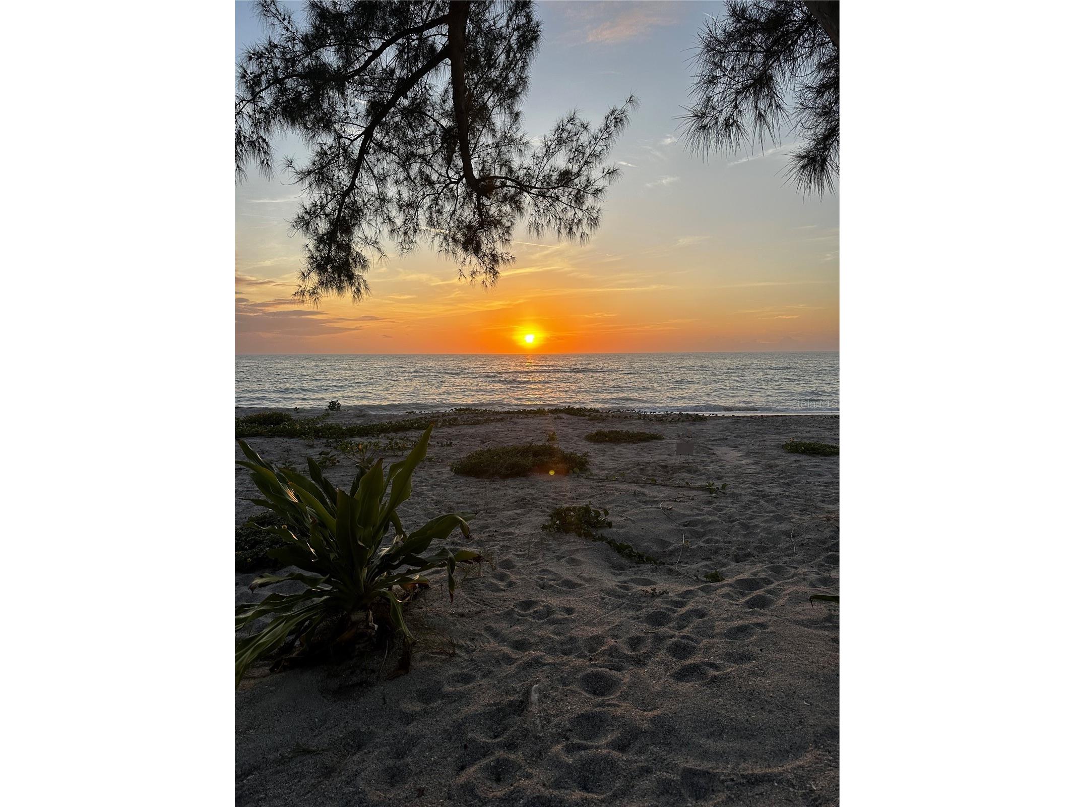 1735 Loralin Drive Englewood FL 34223 D6145776 image44