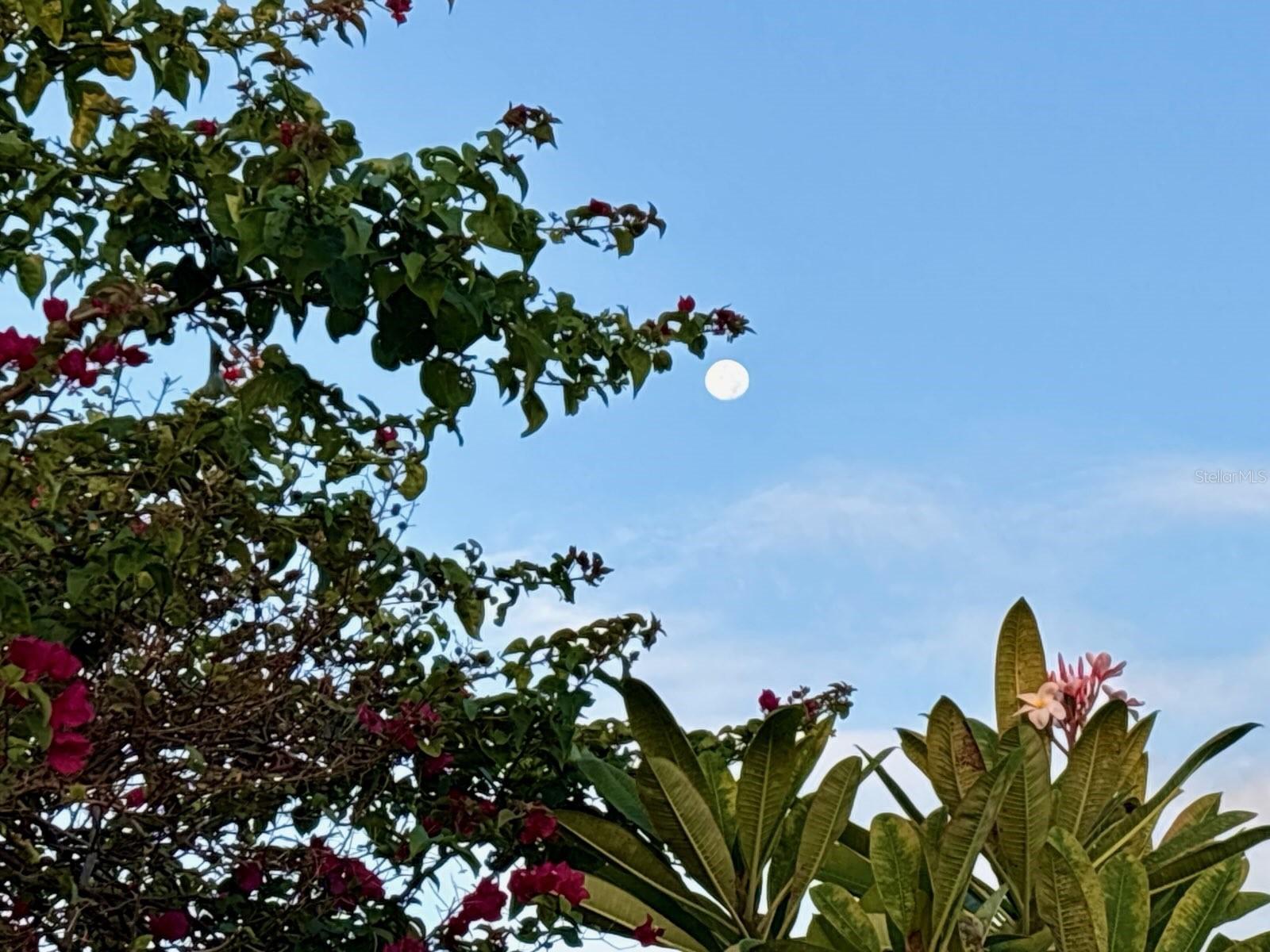 1735 Loralin Drive Englewood FL 34223 D6145776 image47