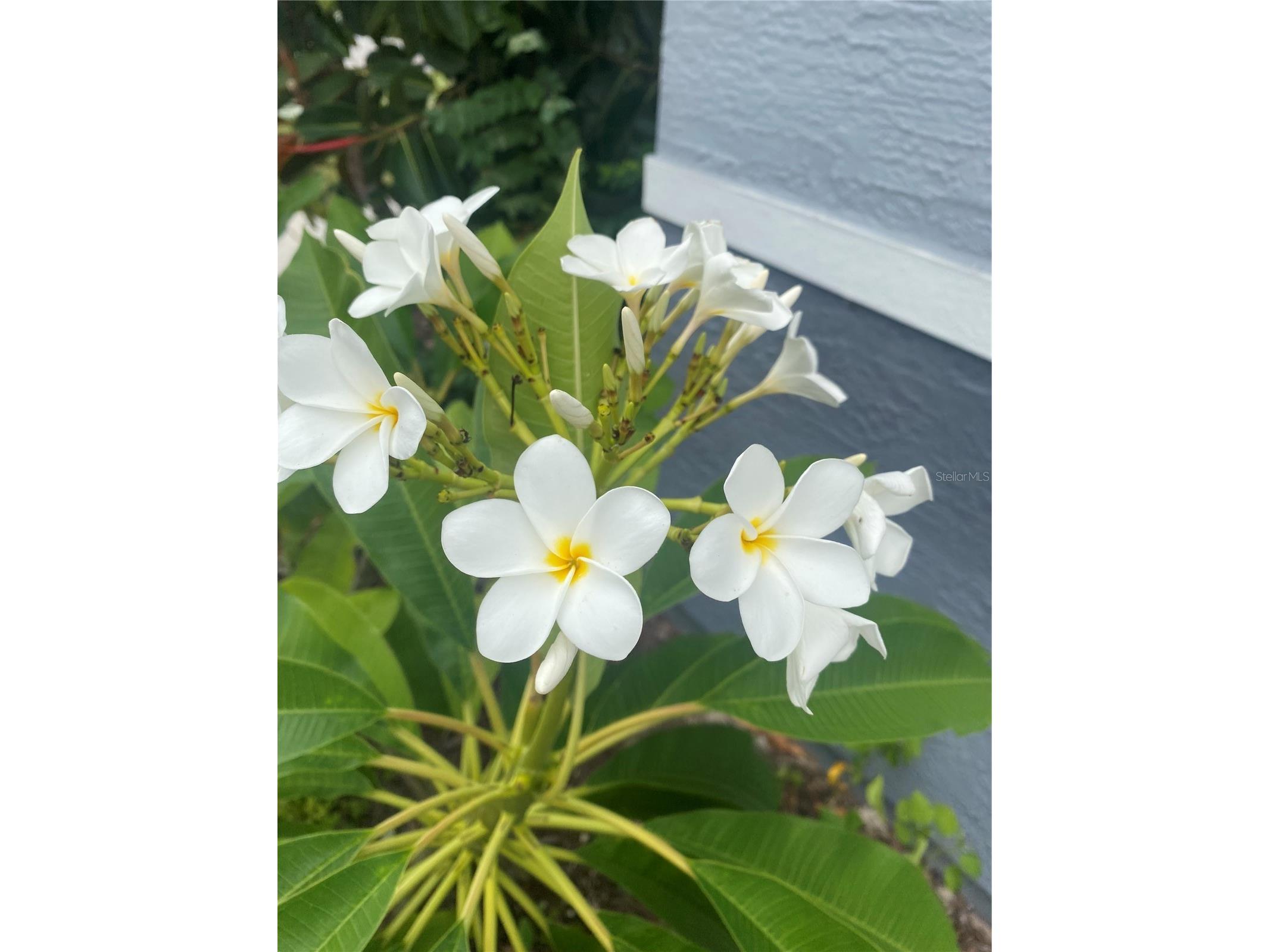 1735 Loralin Drive Englewood FL 34223 D6145776 image48