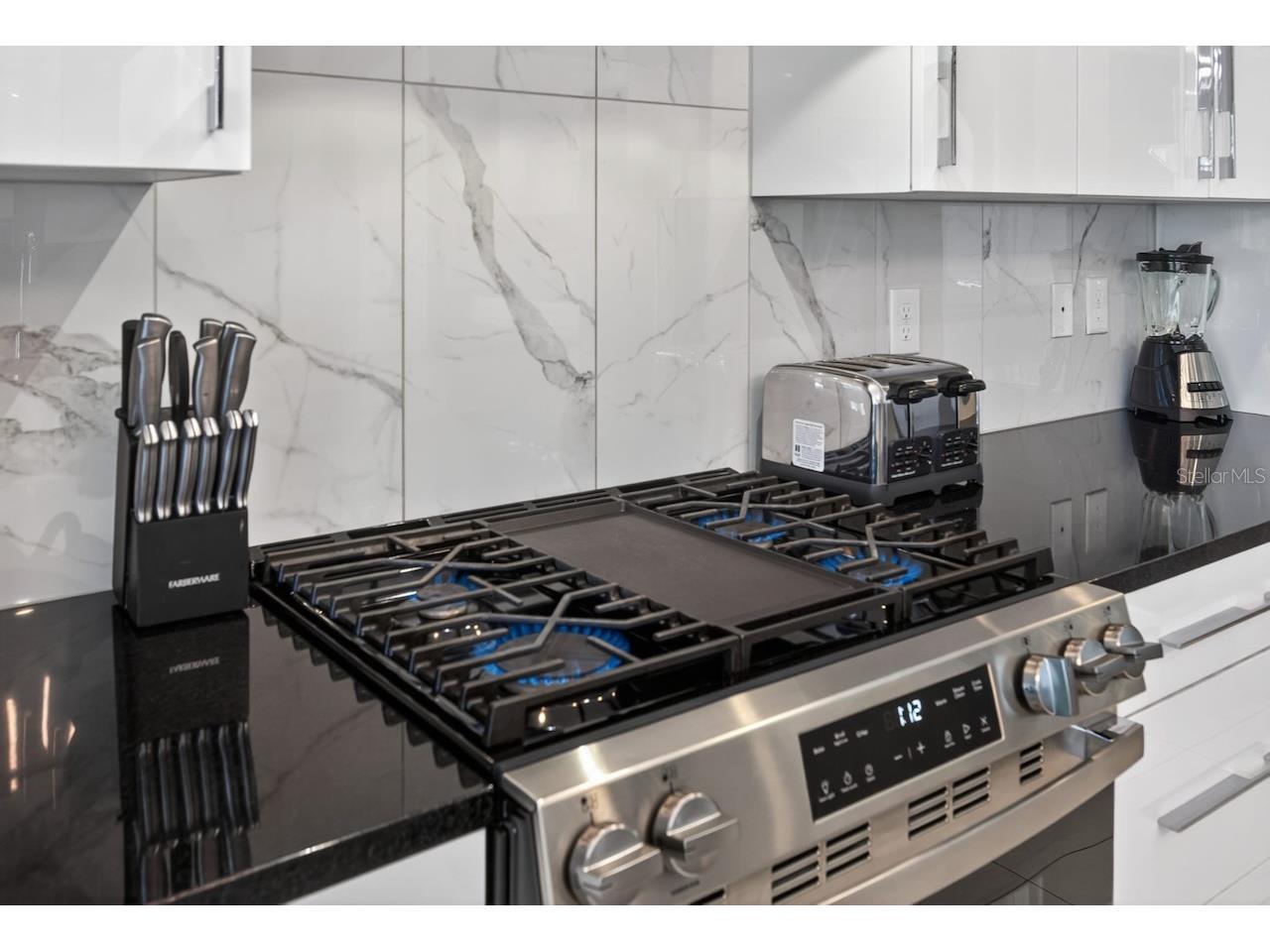 1735 Oak Blossom Drive Davenport FL 33837 TB8514868 image19