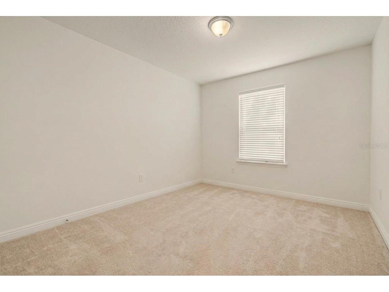 1735 Oak Hammock Court Lutz FL 33558 W7886757 image22